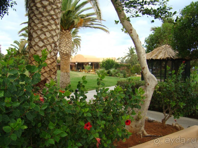 фото Anissa Beach & Village Hotel