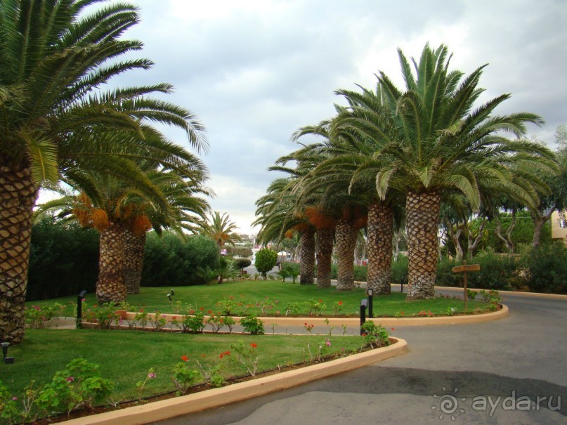 Один из самых лучших отелей островной Греции!