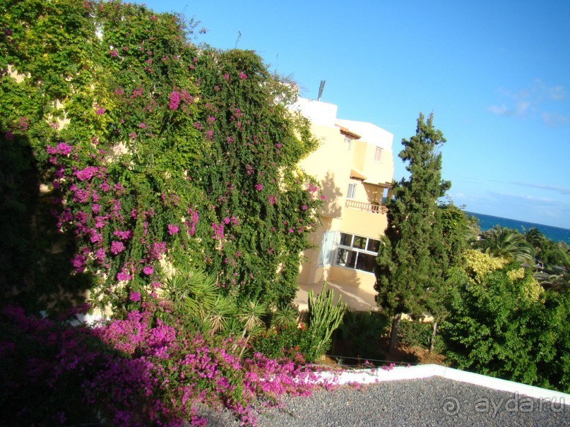 Один из самых лучших отелей островной Греции!