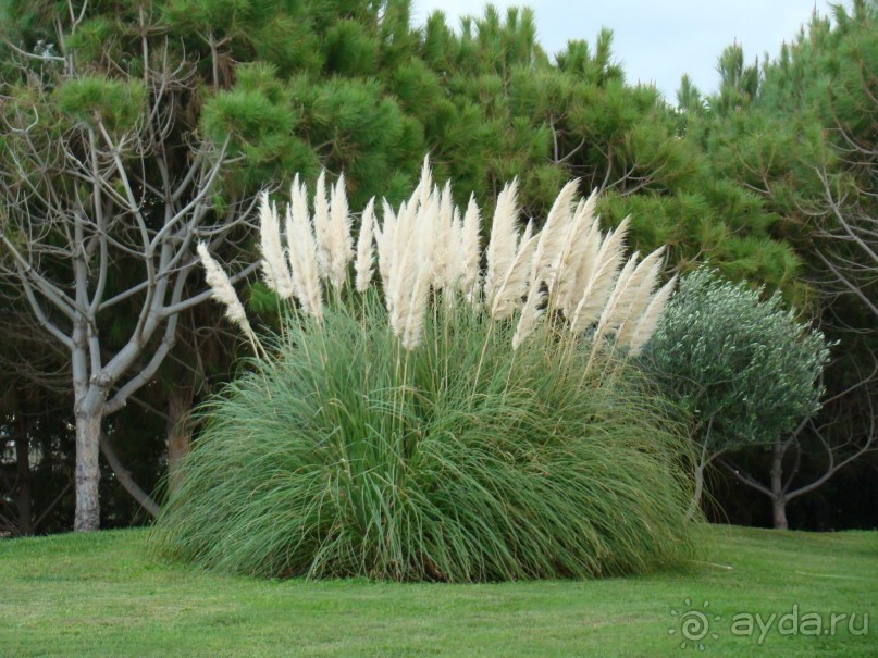 Один из самых лучших отелей островной Греции!