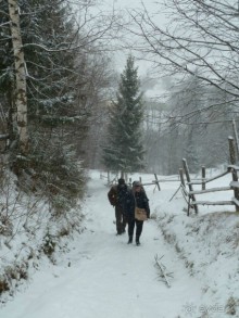 Экспедиция в Карпаты