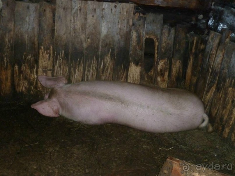 Экспедиция в Карпаты