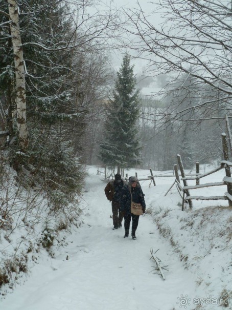 Экспедиция в Карпаты