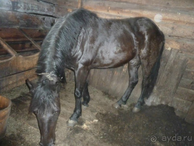 Экспедиция в Карпаты