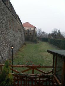 Как в путешествиях рождаются семьи. 