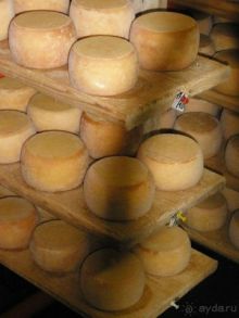 Как в путешествиях рождаются семьи. 