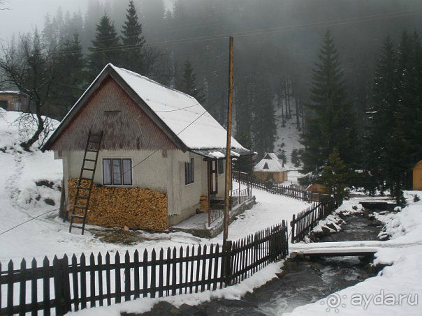 Как в путешествиях рождаются семьи. 