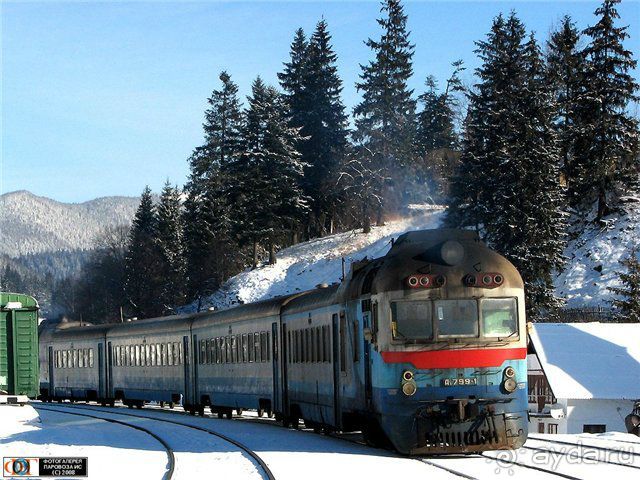 Как в путешествиях рождаются семьи. 