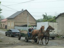 Путешествие в цыганский табор (Закарпатье). 