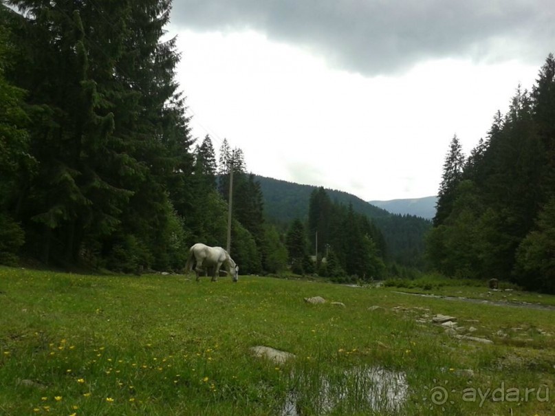Путешествие в цыганский табор (Закарпатье). 