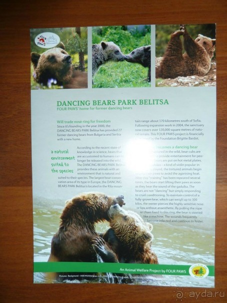 Путешествие в цыганский табор (Закарпатье). 