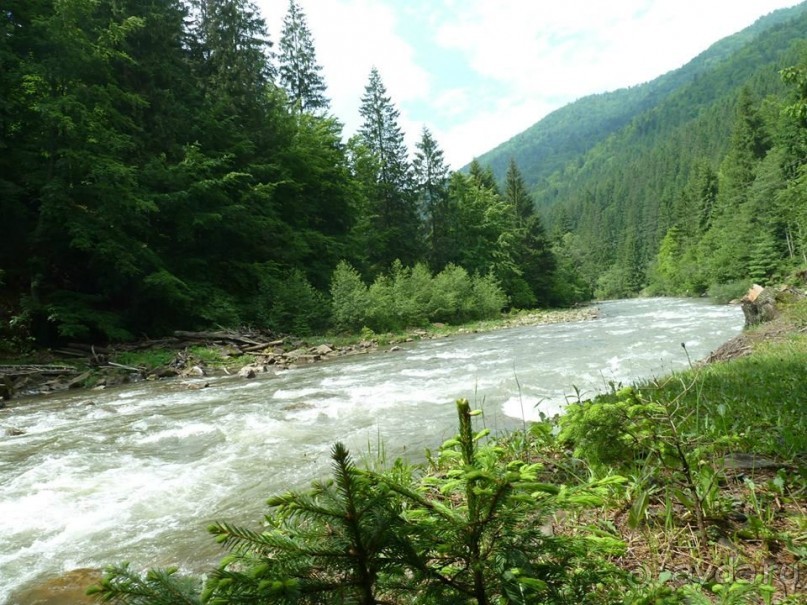 Путешествие в цыганский табор (Закарпатье). 
