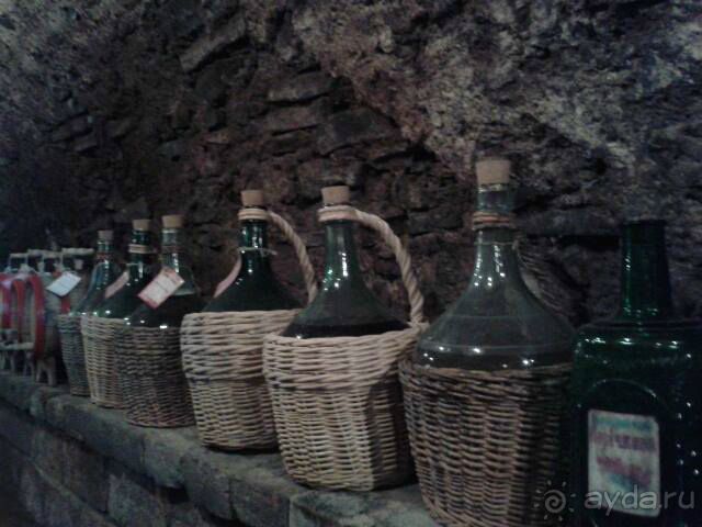 Путешествие в цыганский табор (Закарпатье). 