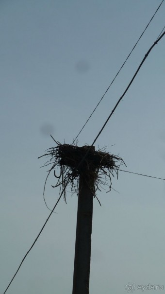 НГ в Закарпатье в ритме "Чардаш" (архитектурно-гастрономический тур). 