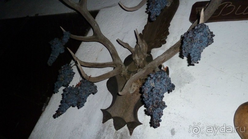 НГ в Закарпатье в ритме "Чардаш" (архитектурно-гастрономический тур). 