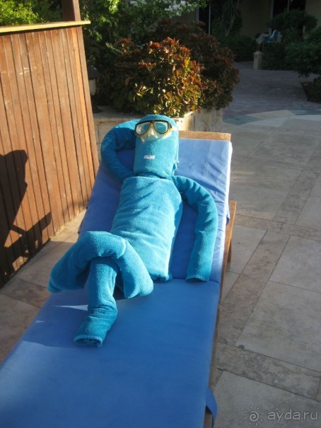 В восторге! 