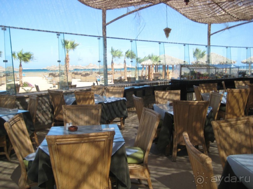 фото Pins Platja