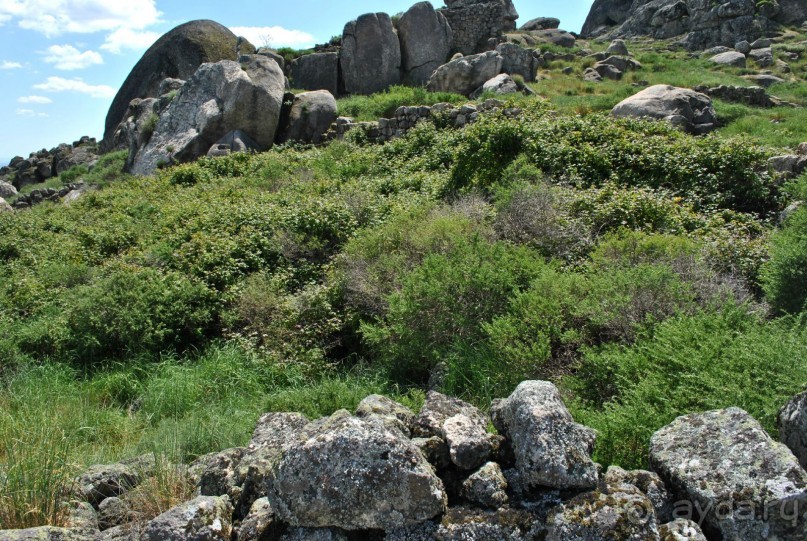 Как мы побывали в Каштелу Бранку