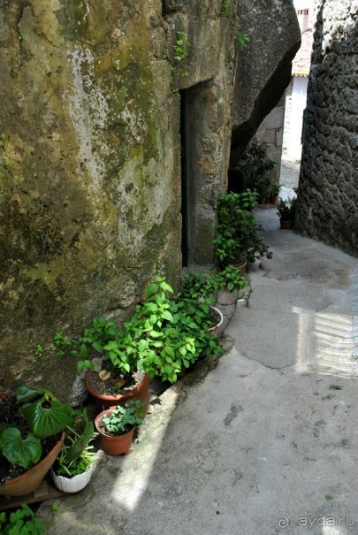 Как мы побывали в Каштелу Бранку