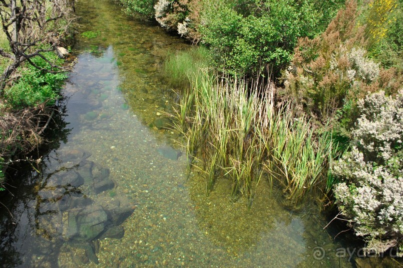 Как мы побывали в Каштелу Бранку
