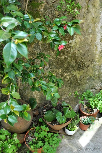 Как мы побывали в Каштелу Бранку