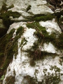 По дороге к Прометею