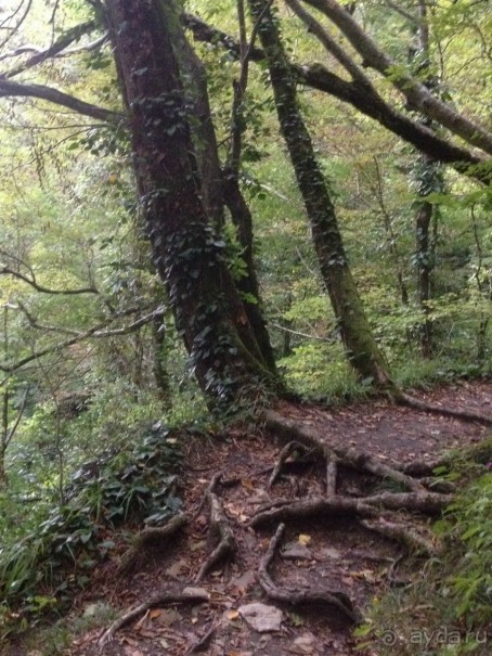 По дороге к Прометею