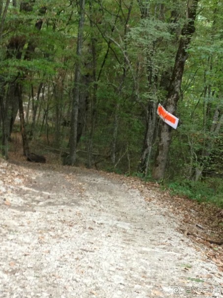 По дороге к Прометею