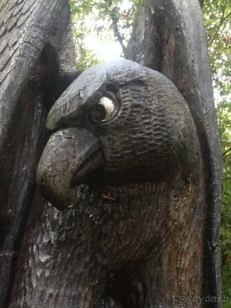 По дороге к Прометею