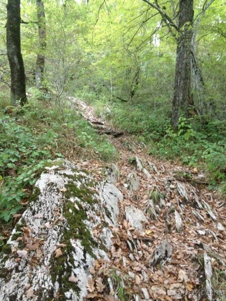 По дороге к Прометею