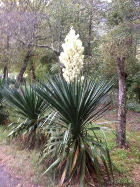 По дороге к Прометею