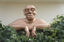 Адлер-Сочи, Октябрь -2015. Фотовоспоминание