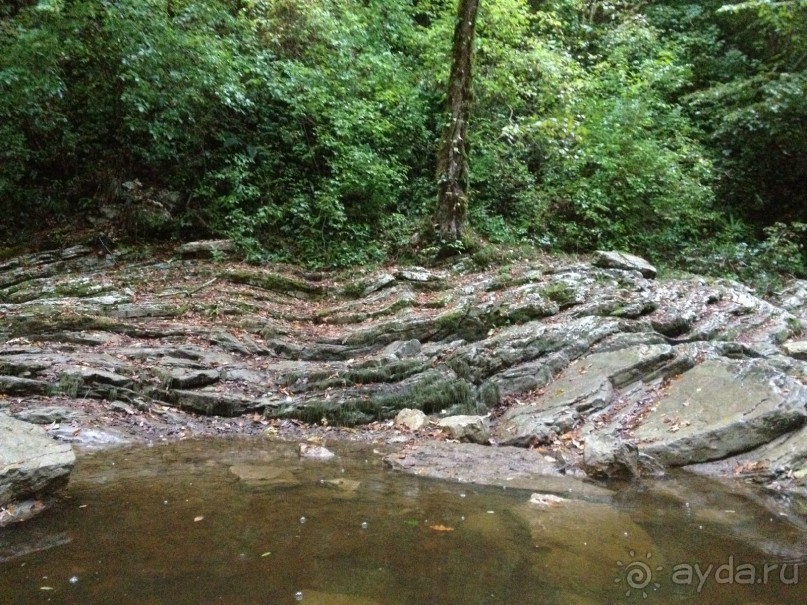 Адлер-Сочи, Октябрь -2015. Фотовоспоминание