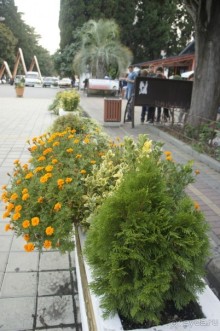 Адлер-Сочи, Октябрь -2015. Фотовоспоминание