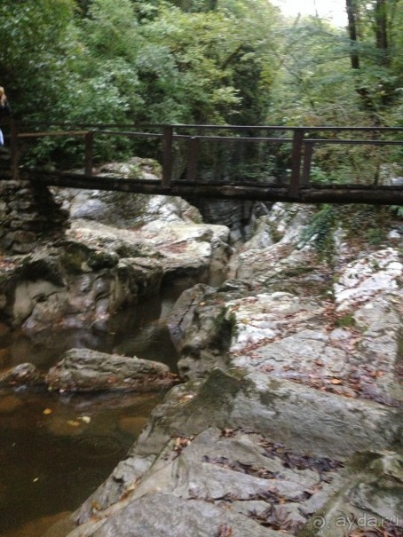 Адлер-Сочи, Октябрь -2015. Фотовоспоминание