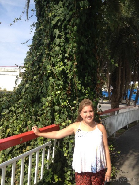 Адлер-Сочи, Октябрь -2015. Фотовоспоминание