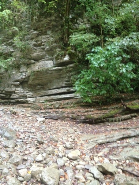 Адлер-Сочи, Октябрь -2015. Фотовоспоминание