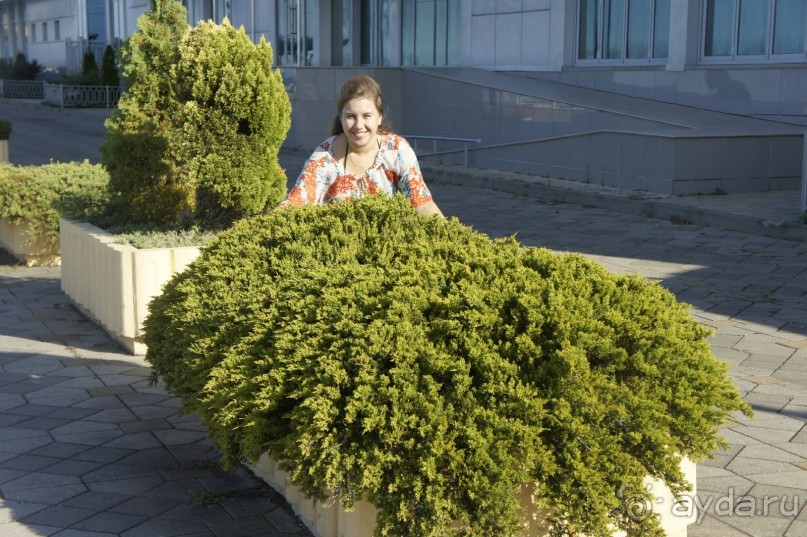 Адлер-Сочи, Октябрь -2015. Фотовоспоминание