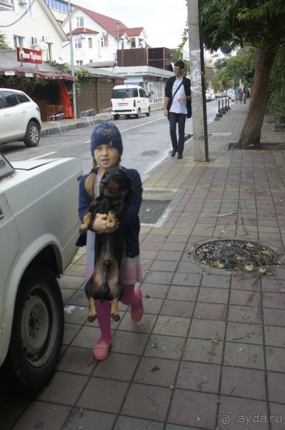 Адлер-Сочи, Октябрь -2015. Фотовоспоминание