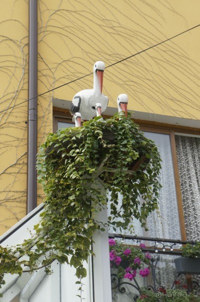 Адлер-Сочи, Октябрь -2015. Фотовоспоминание