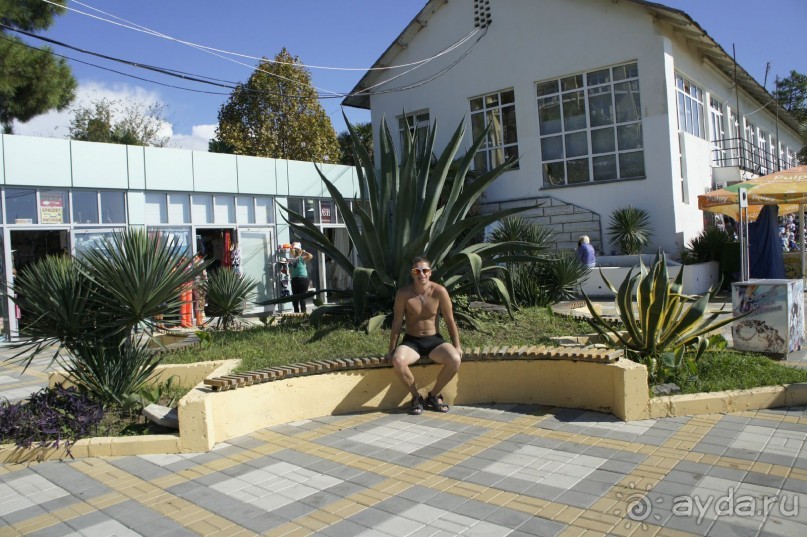 Адлер-Сочи, Октябрь -2015. Фотовоспоминание