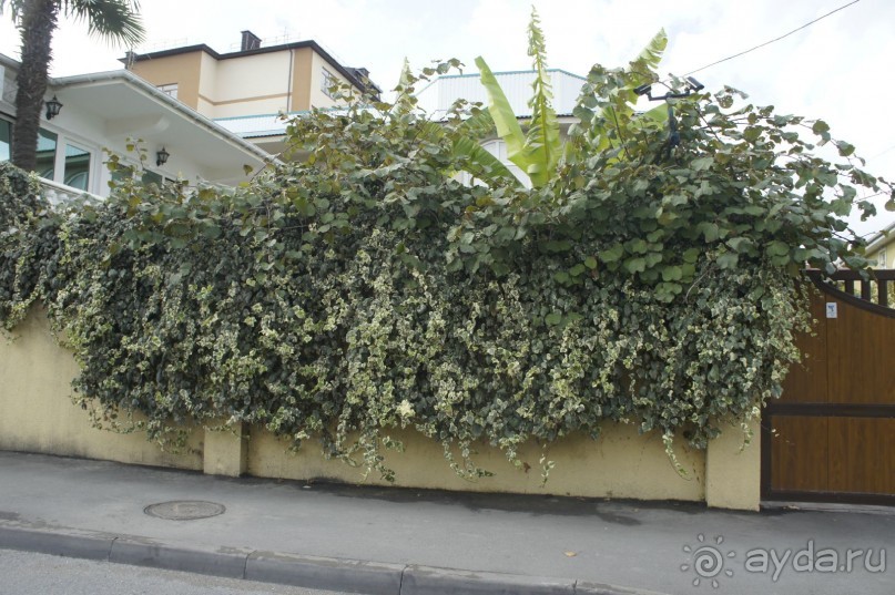 Адлер-Сочи, Октябрь -2015. Фотовоспоминание