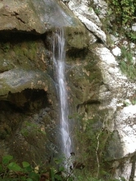 Адлер-Сочи, Октябрь -2015. Фотовоспоминание