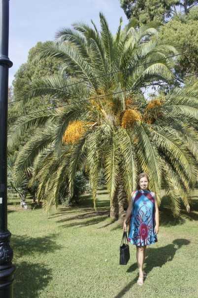 Адлер-Сочи, Октябрь -2015. Фотовоспоминание