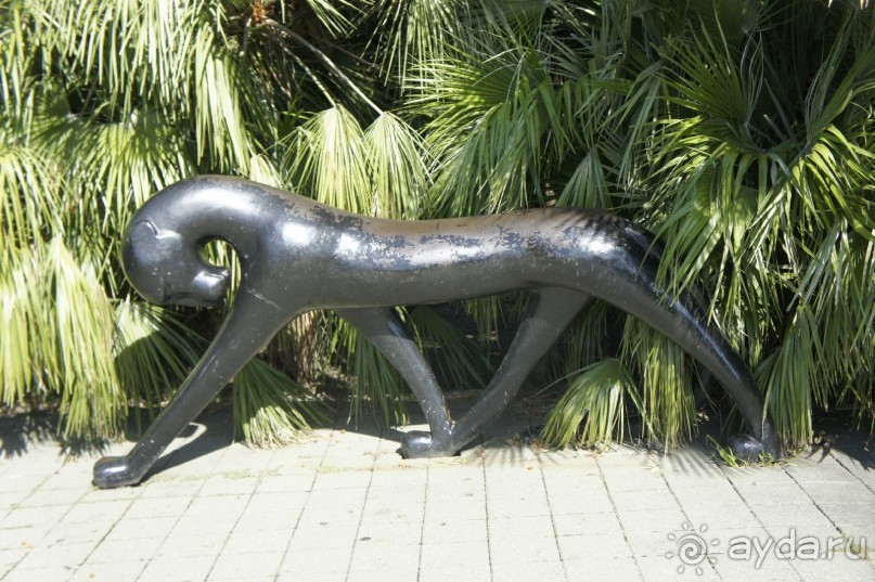 Адлер-Сочи, Октябрь -2015. Фотовоспоминание