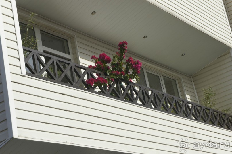 Адлер-Сочи, Октябрь -2015. Фотовоспоминание