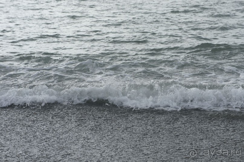 Адлер-Сочи, Октябрь -2015. Фотовоспоминание