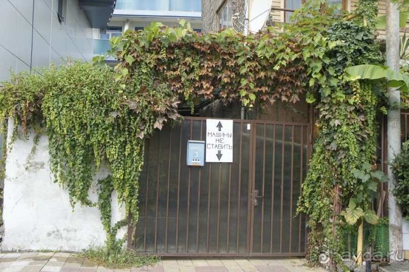 Адлер-Сочи, Октябрь -2015. Фотовоспоминание