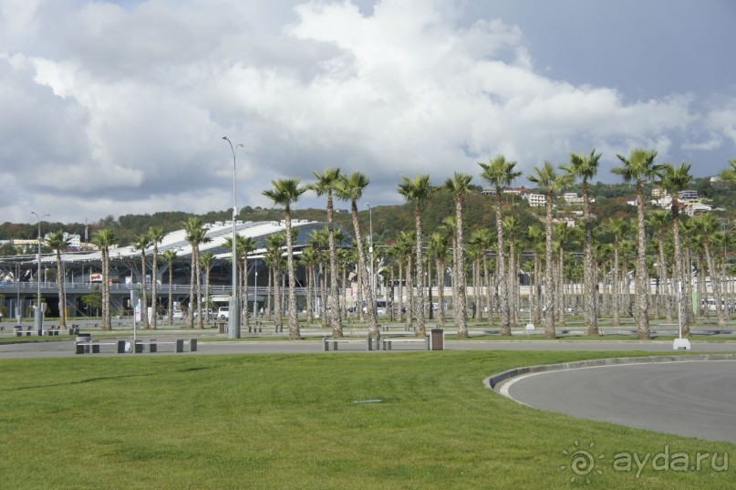 Адлер-Сочи, Октябрь -2015. Фотовоспоминание