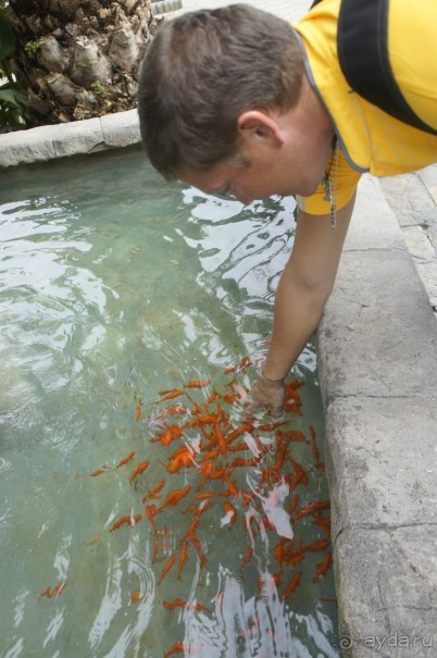 Адлер-Сочи, Октябрь -2015. Фотовоспоминание